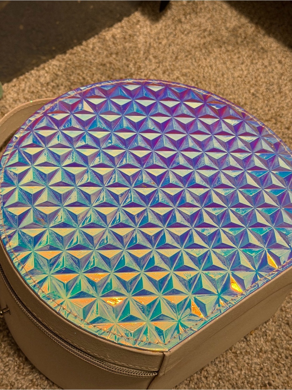 Holographic Epcot Cosmetic Case